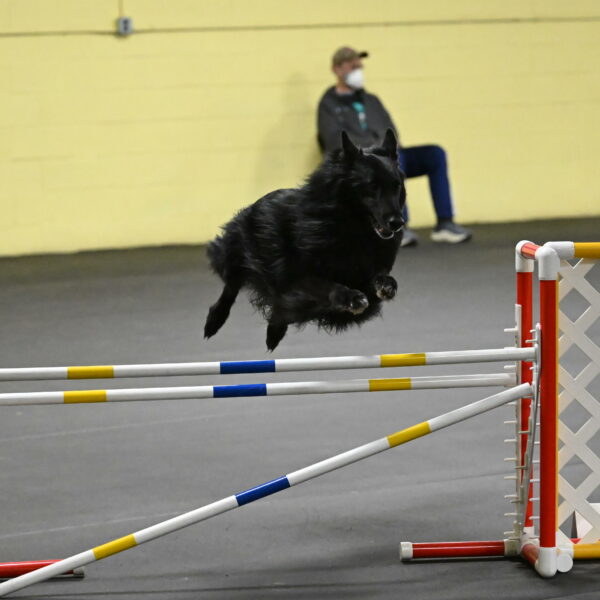 Oscar-Caldwell-07087