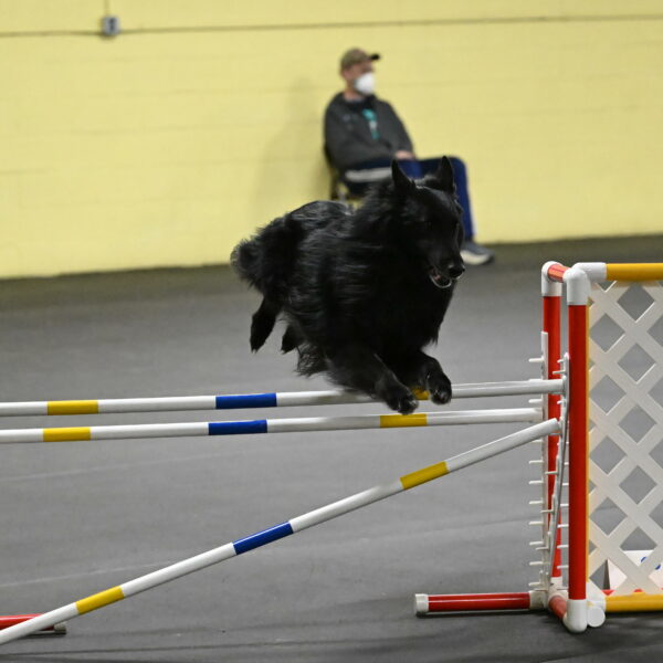 Oscar-Caldwell-07088