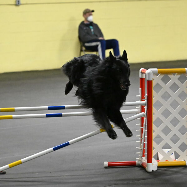 Oscar-Caldwell-07089