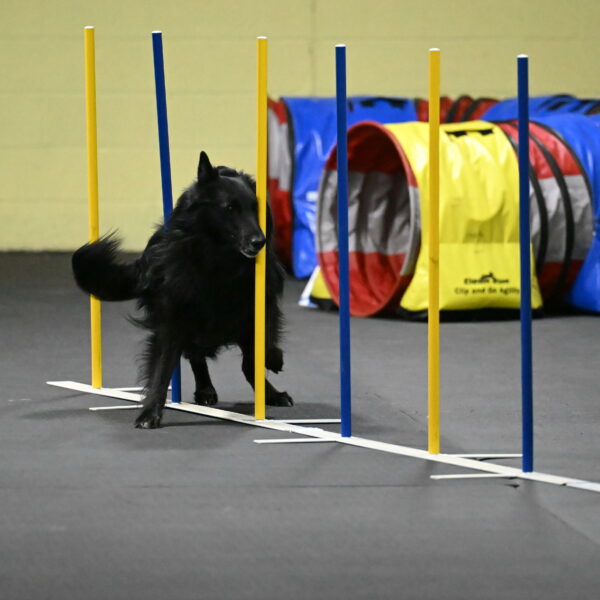 Oscar-Caldwell-07092