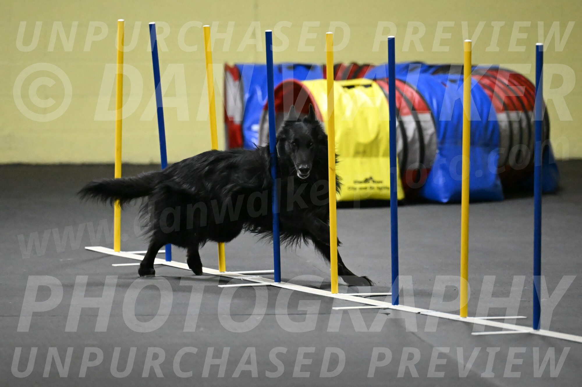 Oscar-Caldwell-07096