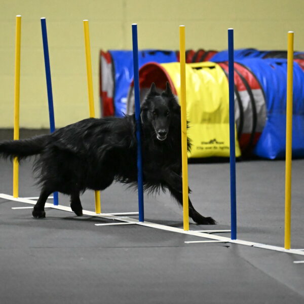 Oscar-Caldwell-07096