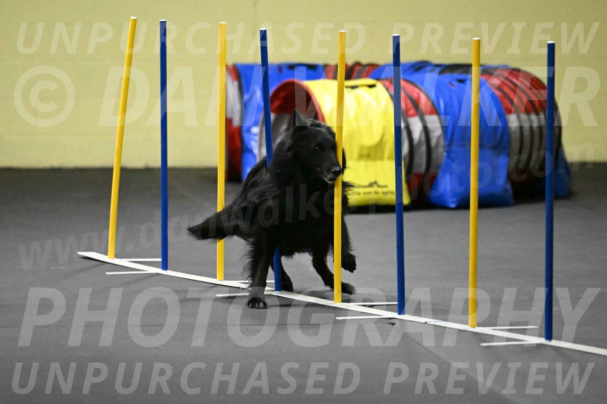 Oscar-Caldwell-07098