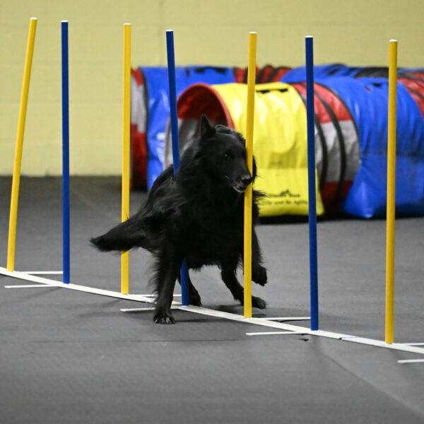 Oscar-Caldwell-07098