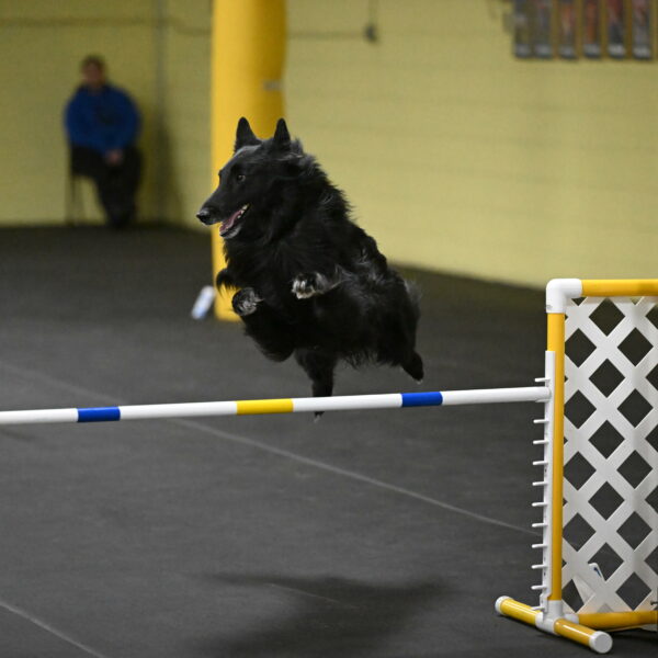 Oscar-Caldwell-07114