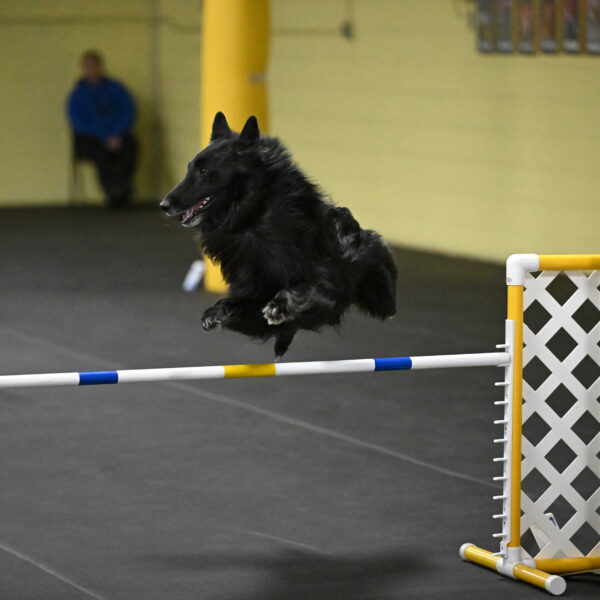 Oscar-Caldwell-07115