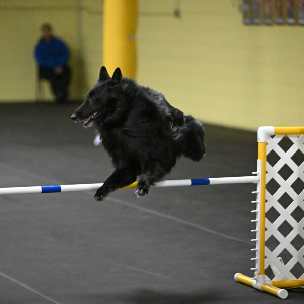 Oscar-Caldwell-07116