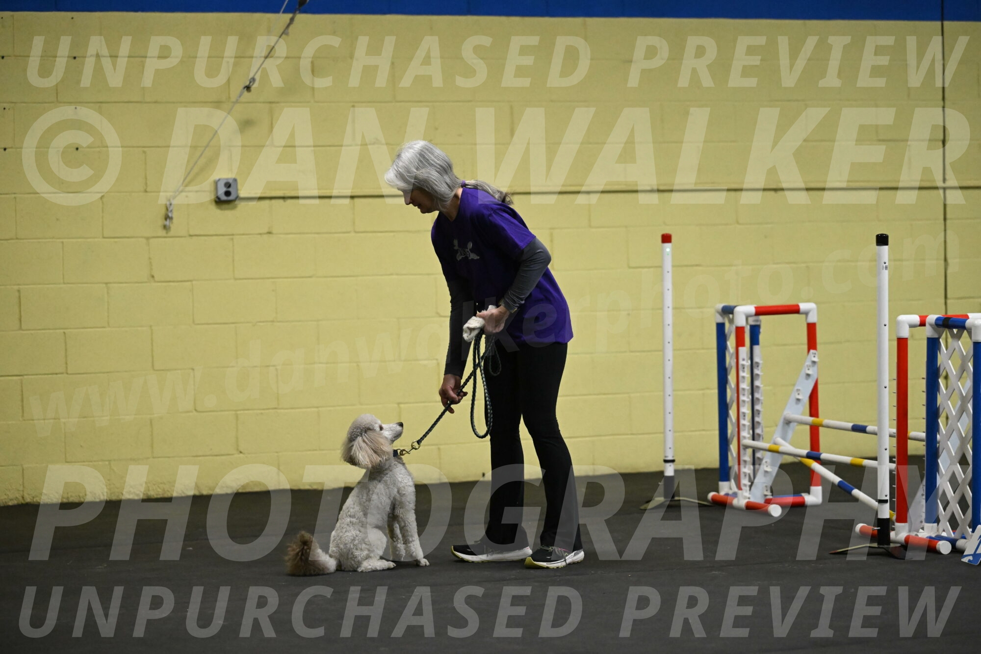 Papango-Bieber-12076