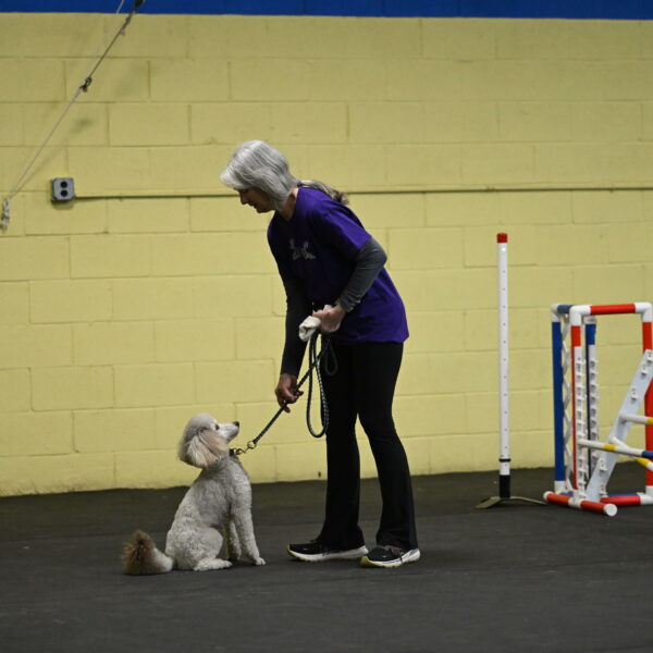 Papango-Bieber-12076