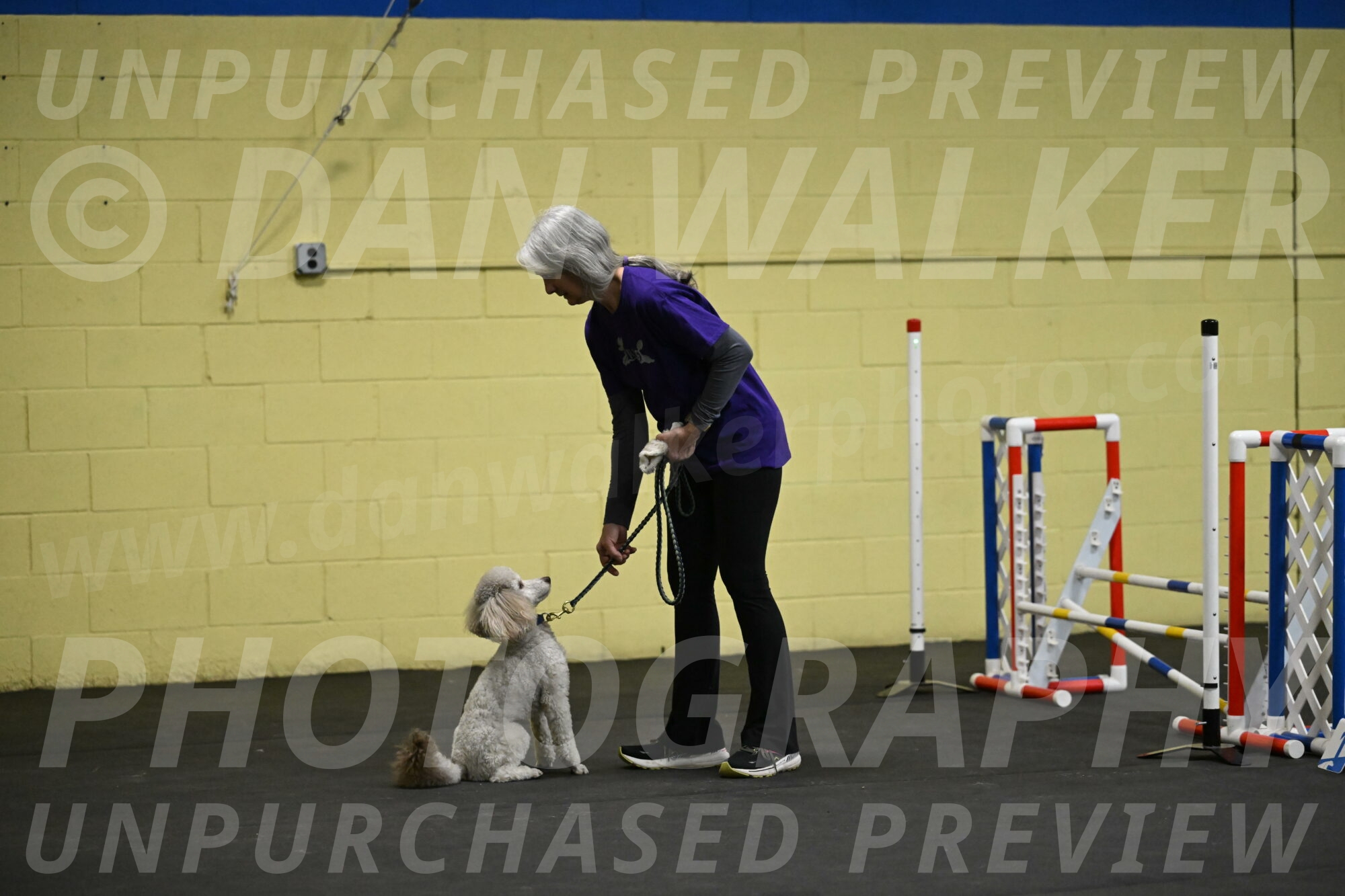 Papango-Bieber-12077