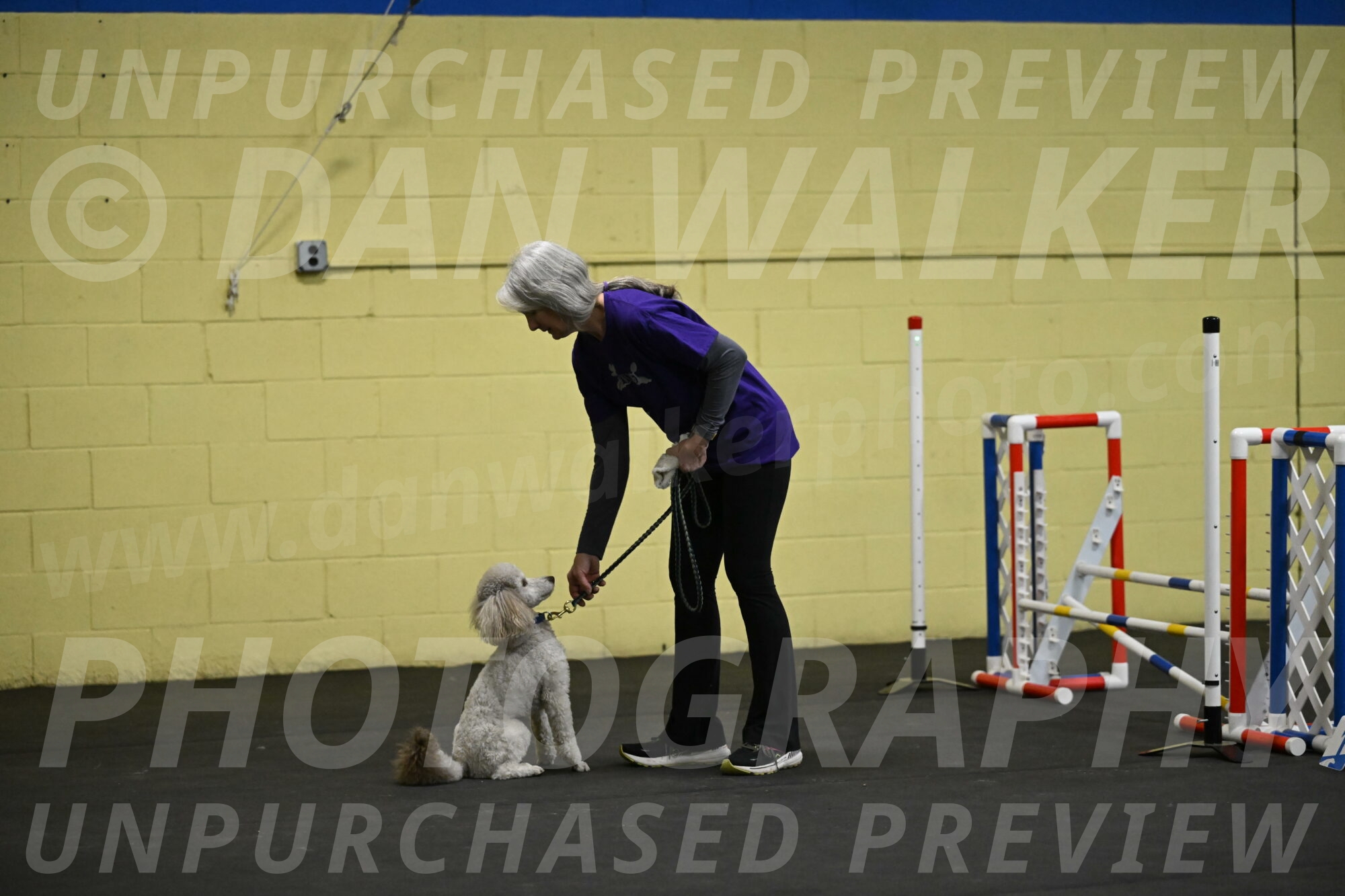 Papango-Bieber-12078