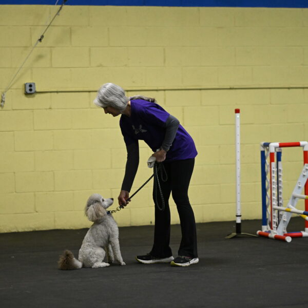 Papango-Bieber-12078