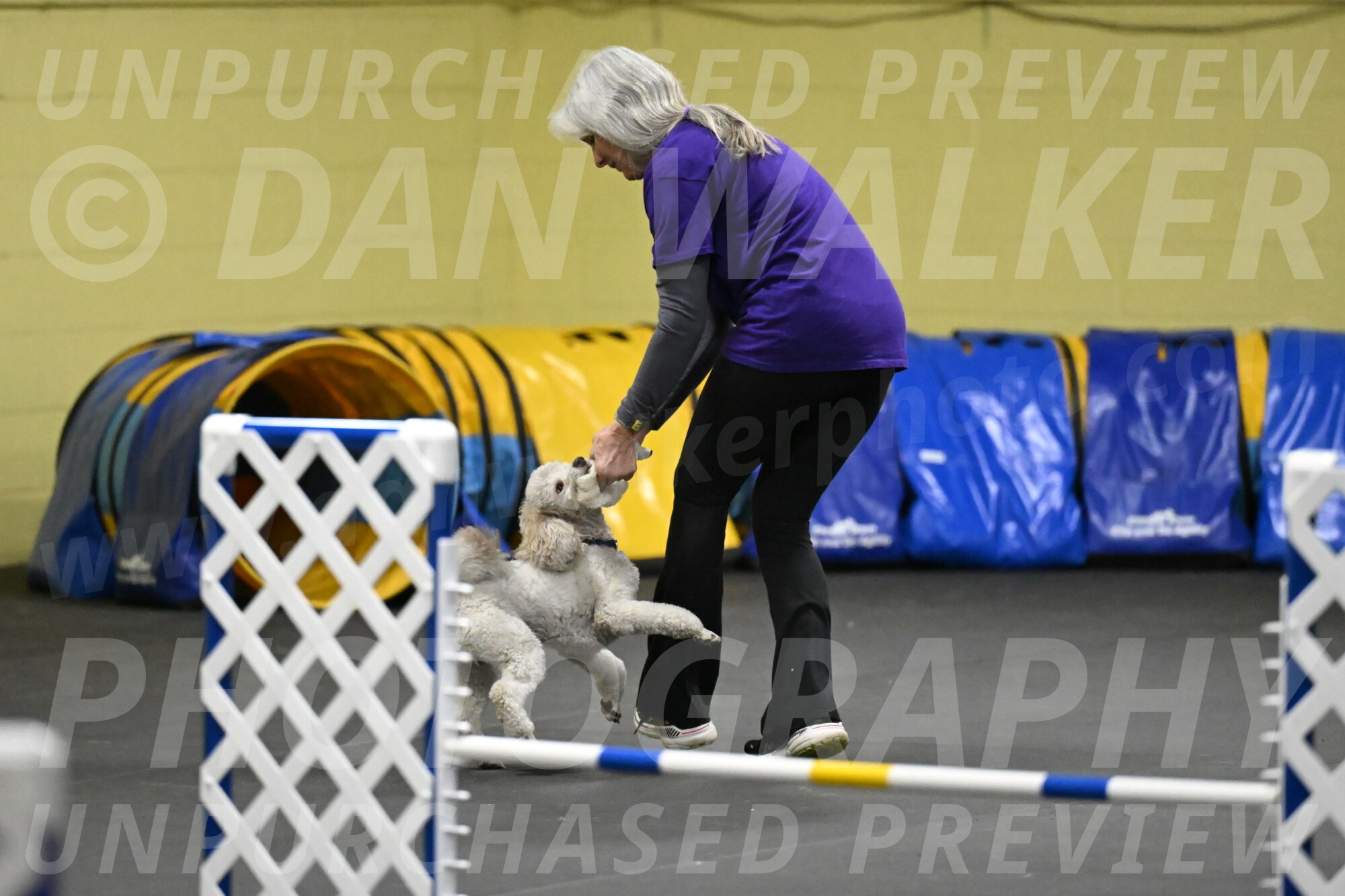 Papango-Bieber-12083