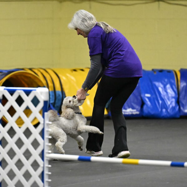 Papango-Bieber-12083