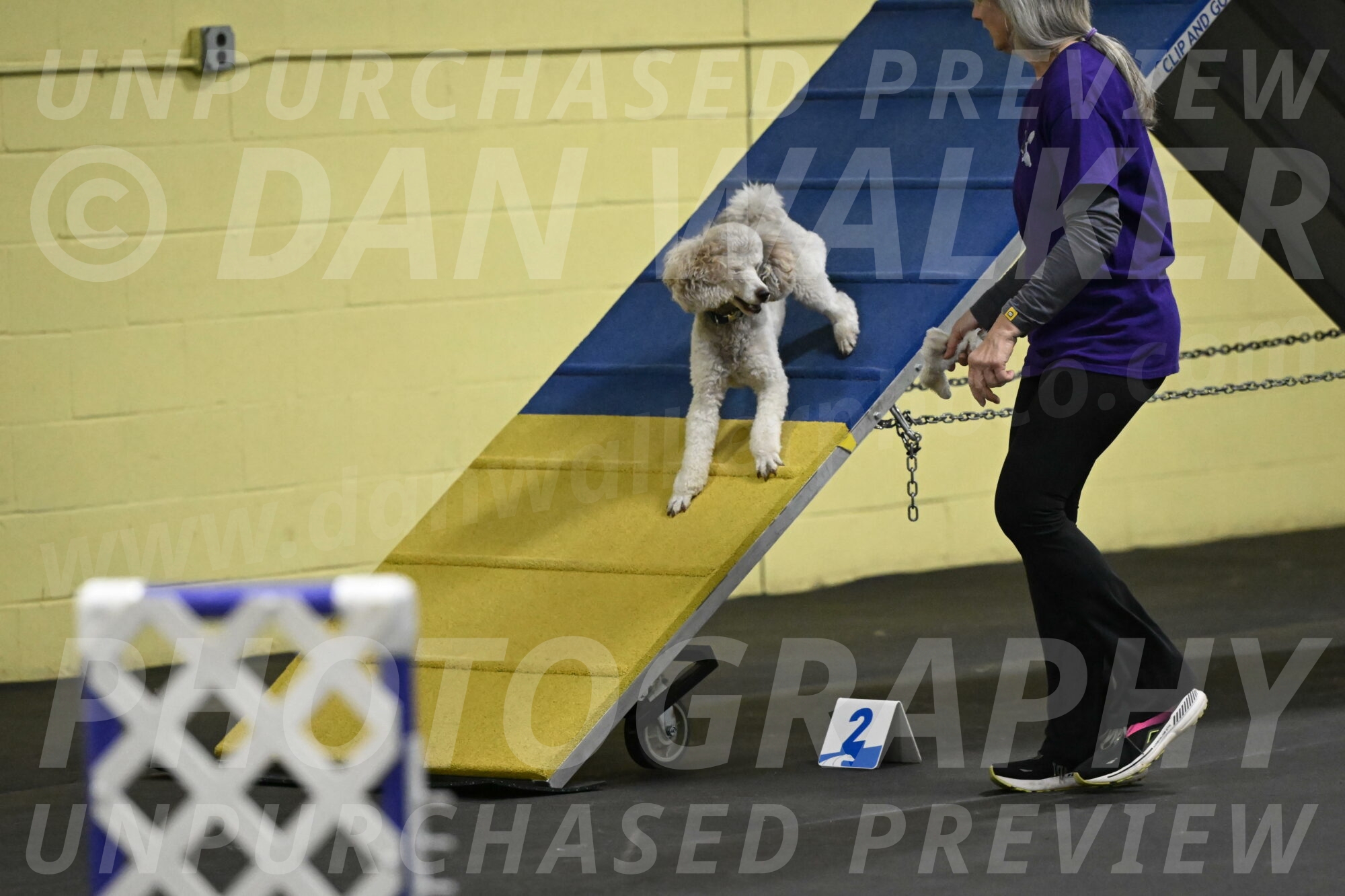 Papango-Bieber-12093