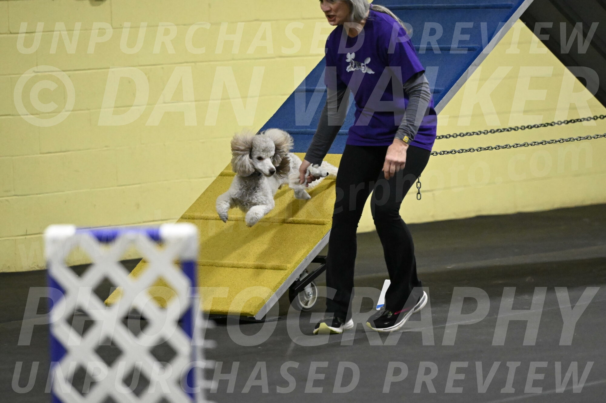 Papango-Bieber-12099