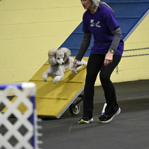 Papango-Bieber-12099