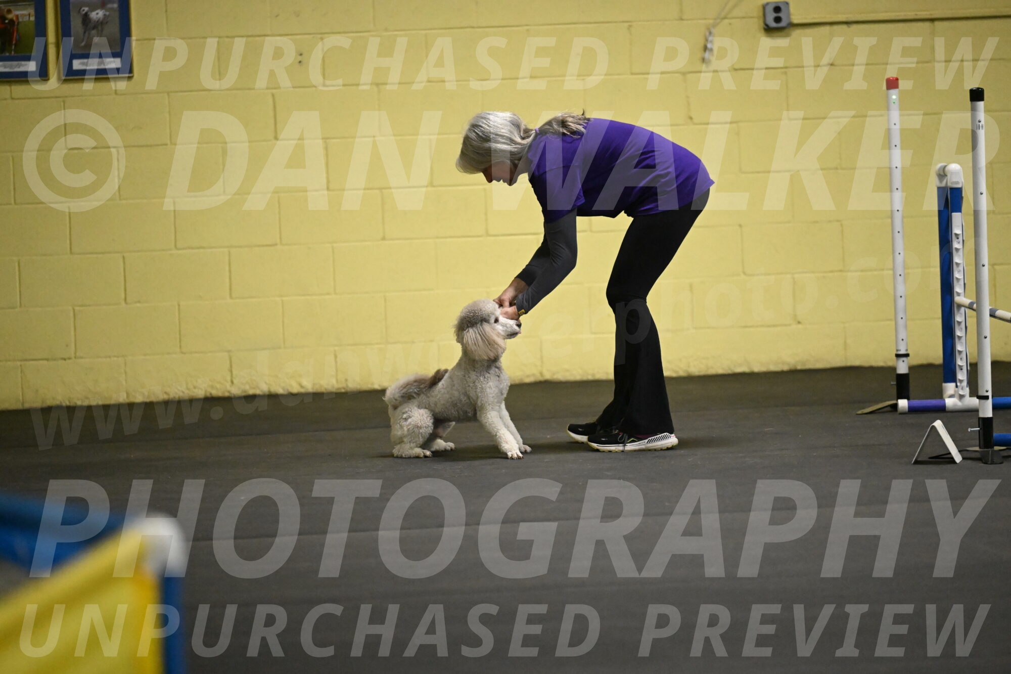 Papango-Bieber-12139