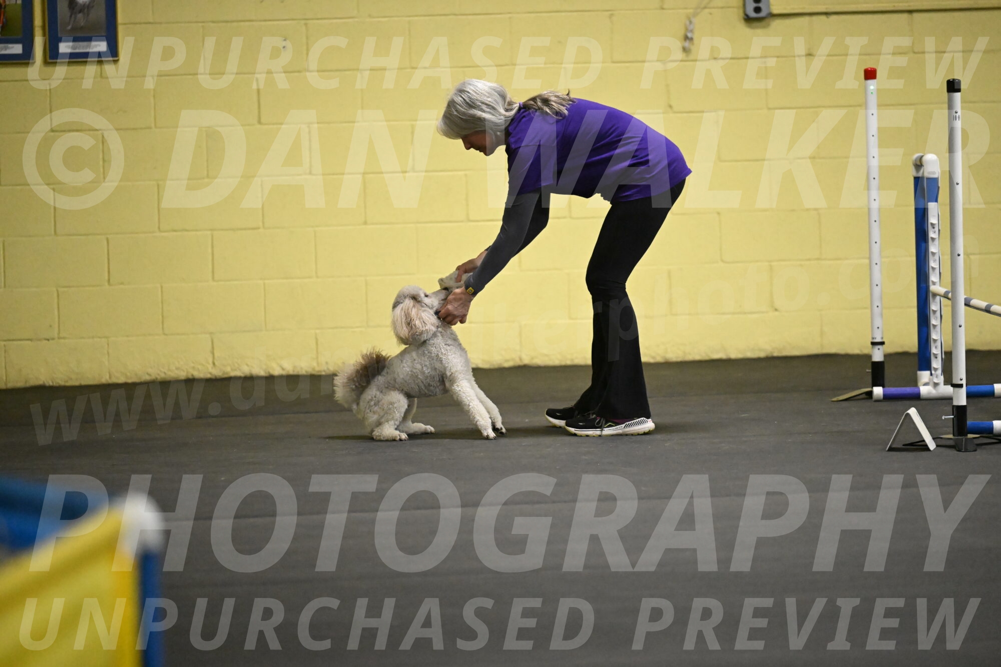 Papango-Bieber-12143