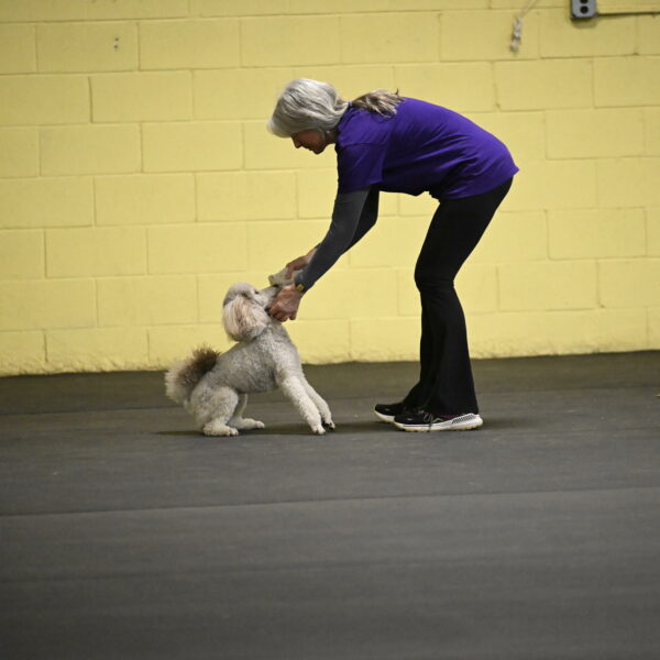 Papango-Bieber-12143