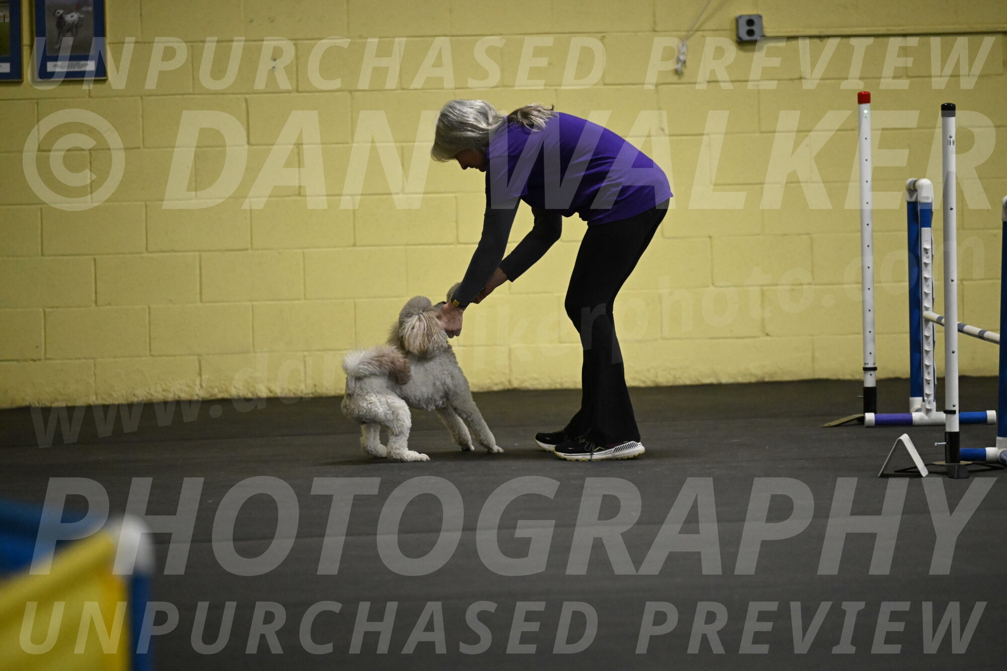 Papango-Bieber-12157