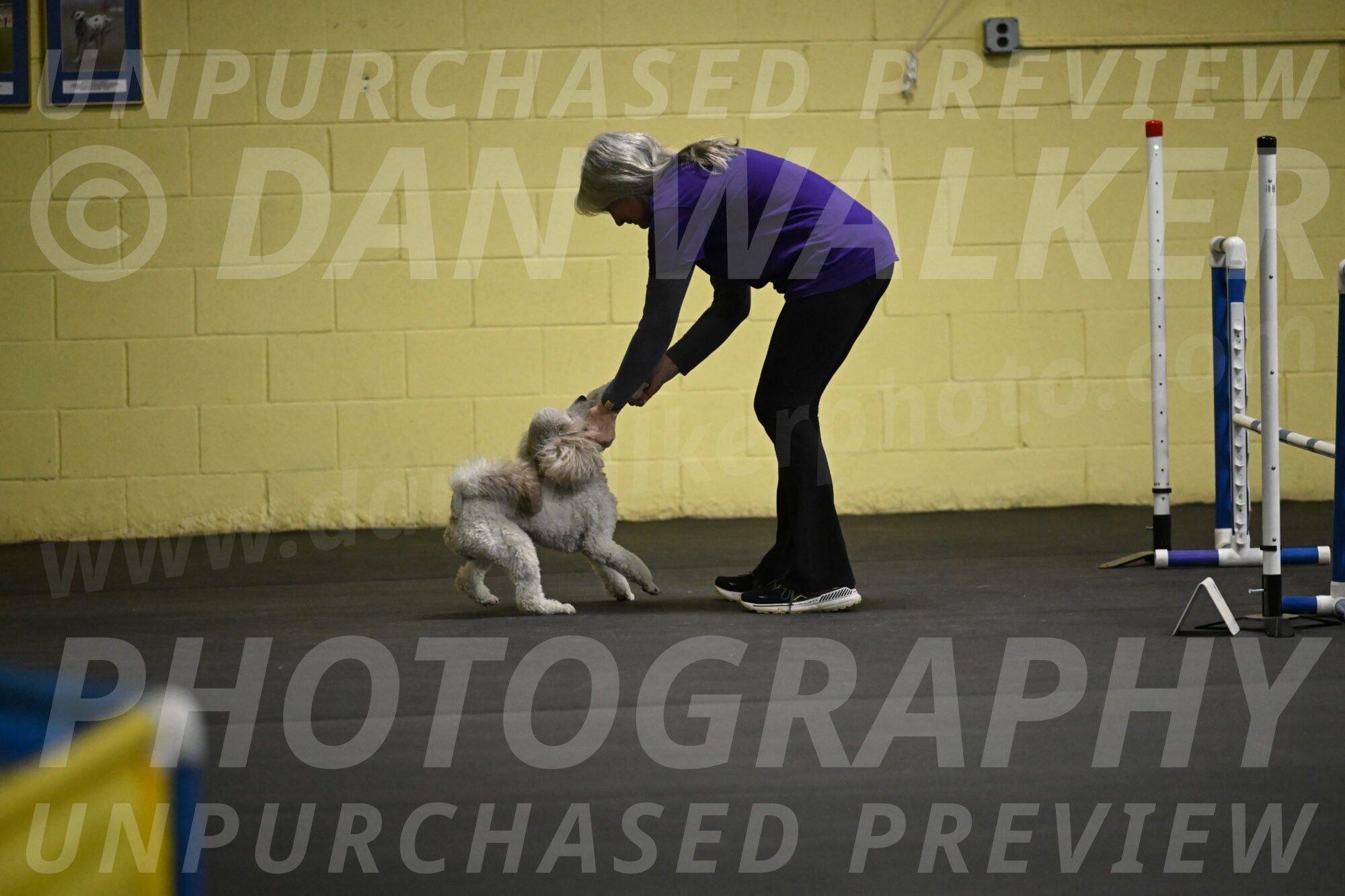 Papango-Bieber-12158