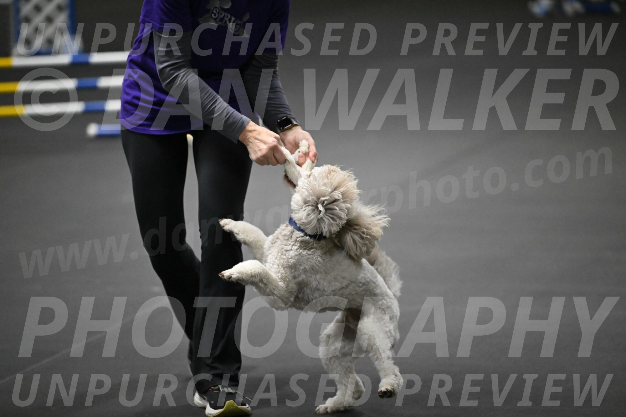 Papango-Bieber-12196