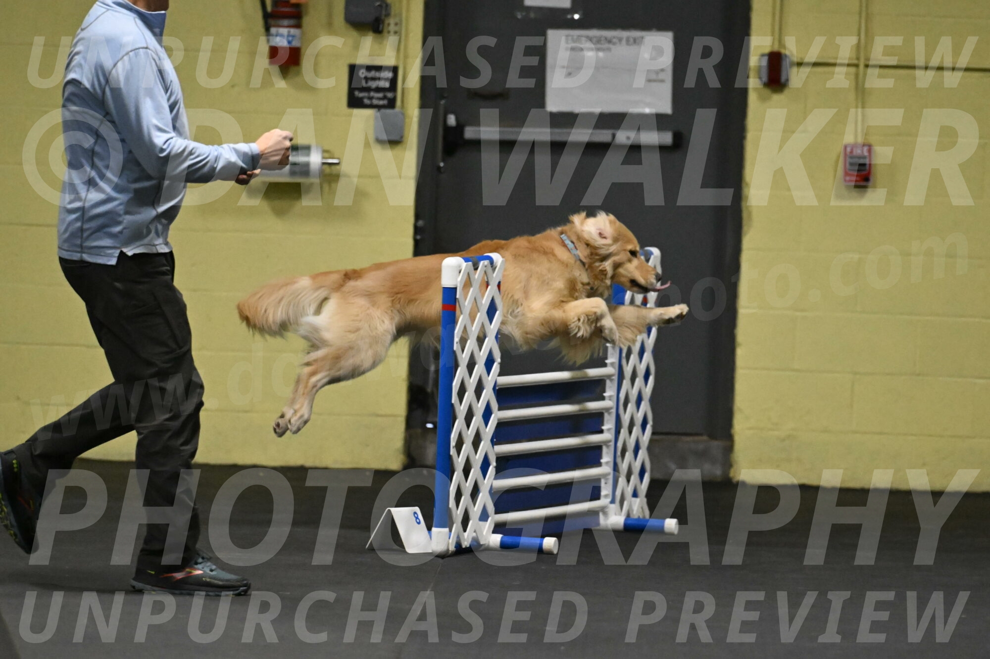 Perry-Likevich-04839