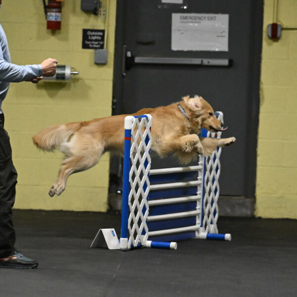 Perry-Likevich-04839