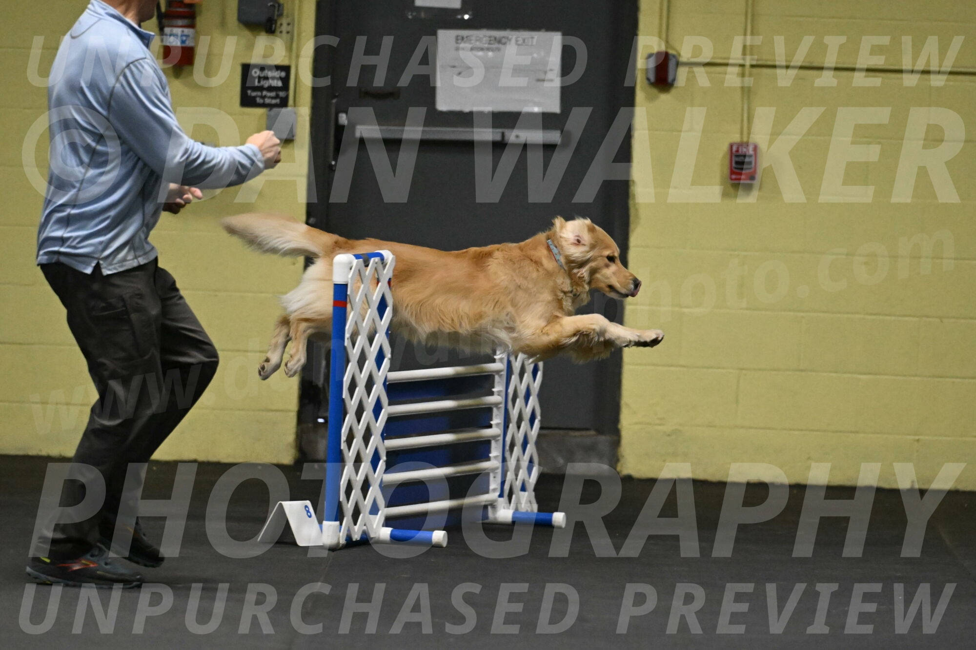 Perry-Likevich-04840