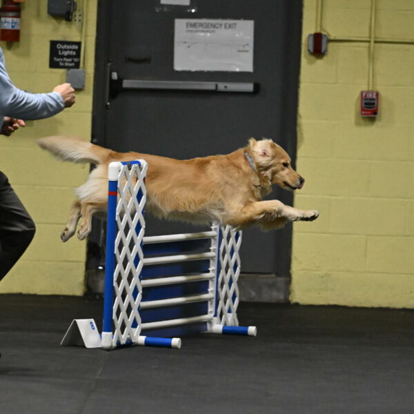 Perry-Likevich-04840