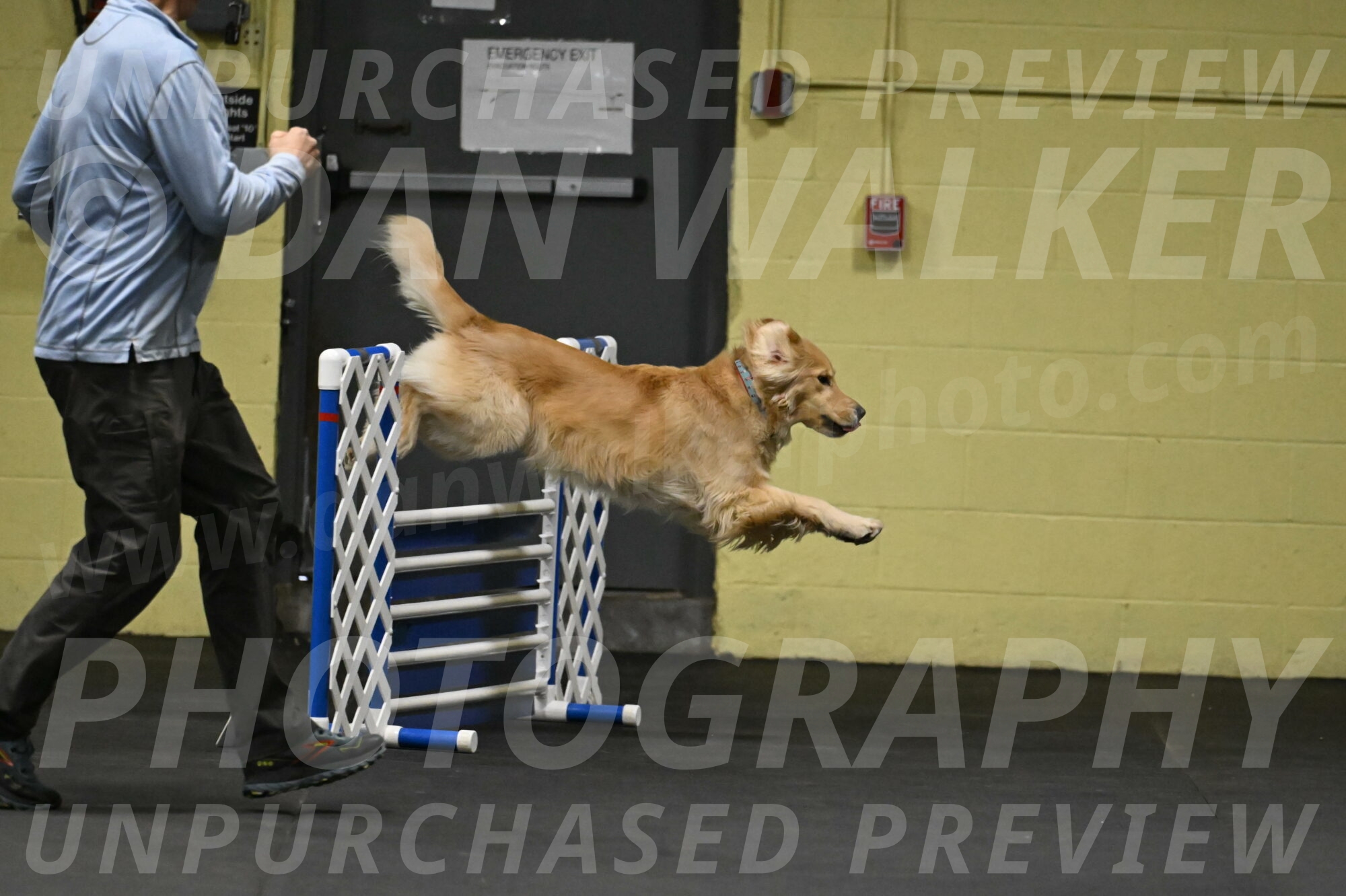 Perry-Likevich-04841