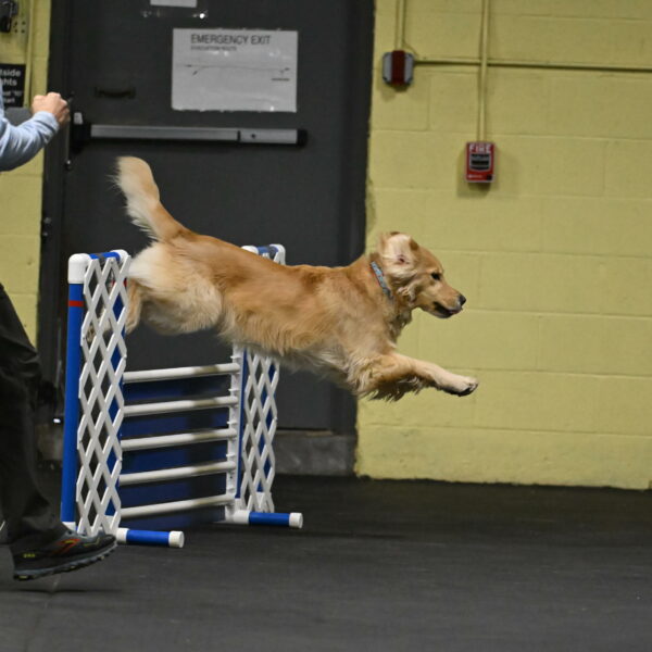 Perry-Likevich-04841