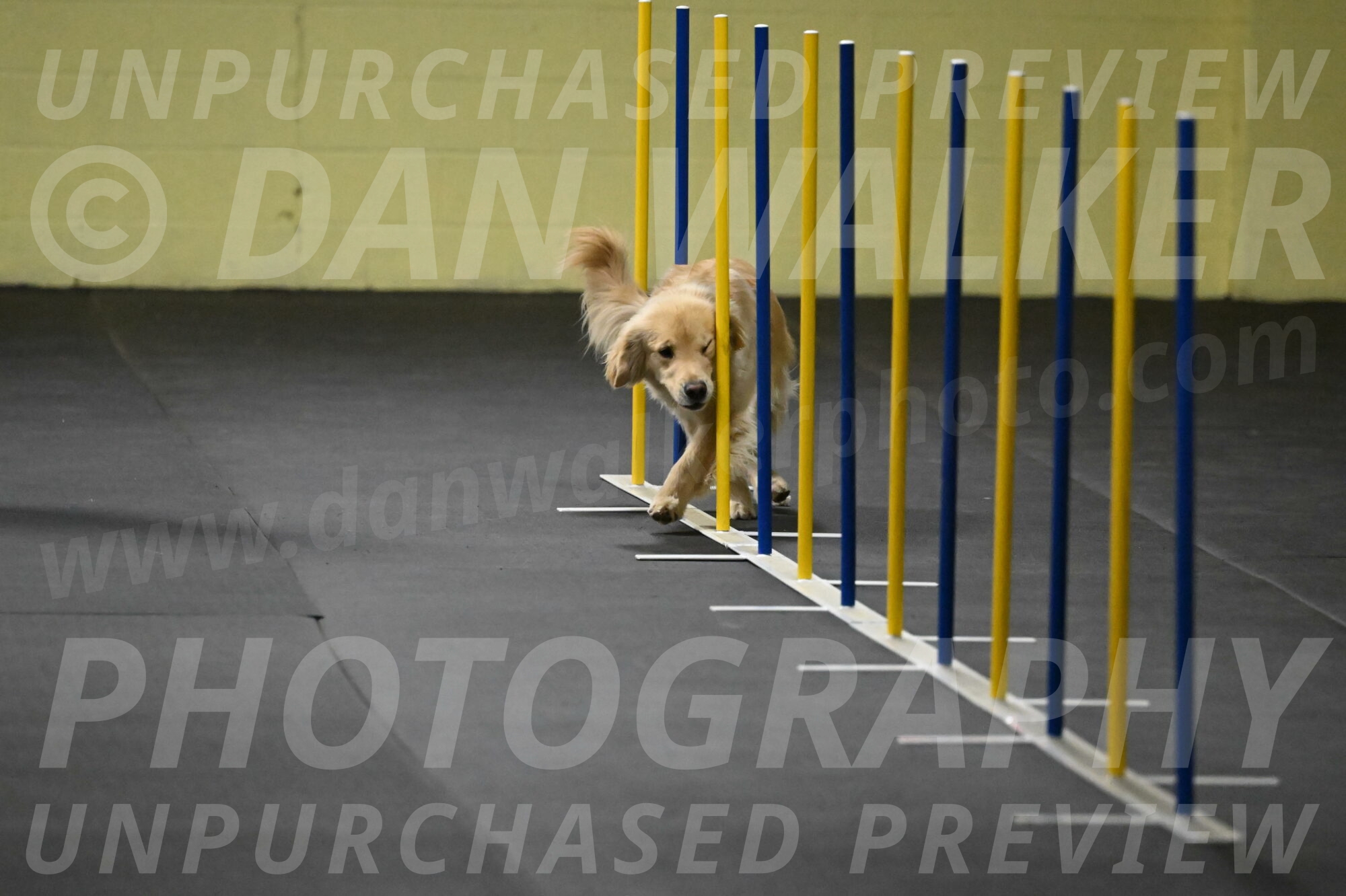 Perry-Likevich-04848