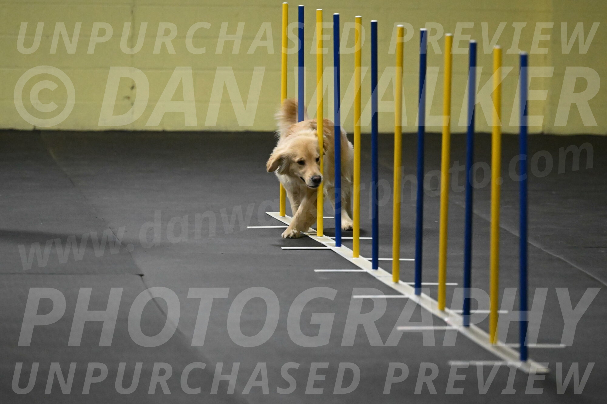 Perry-Likevich-04849