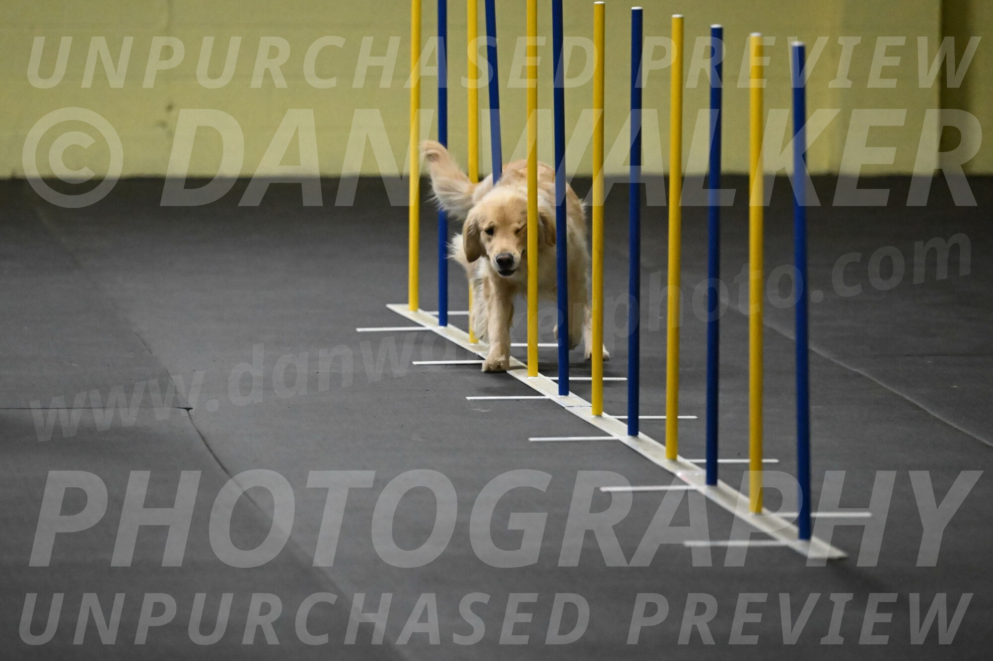 Perry-Likevich-04856