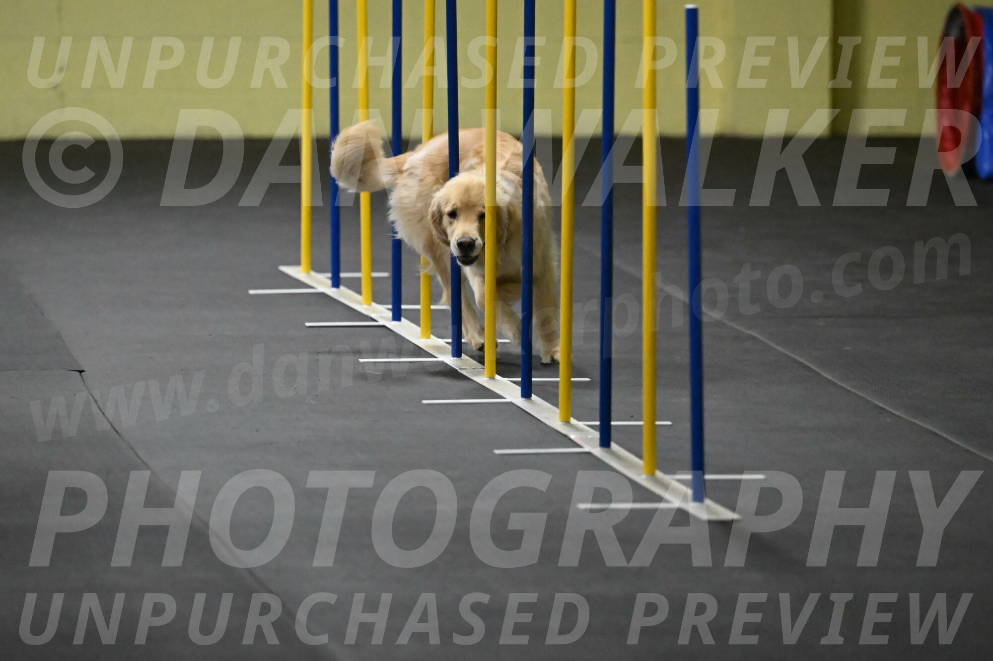 Perry-Likevich-04863