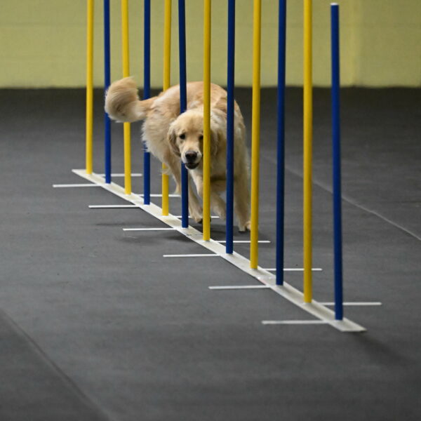 Perry-Likevich-04863