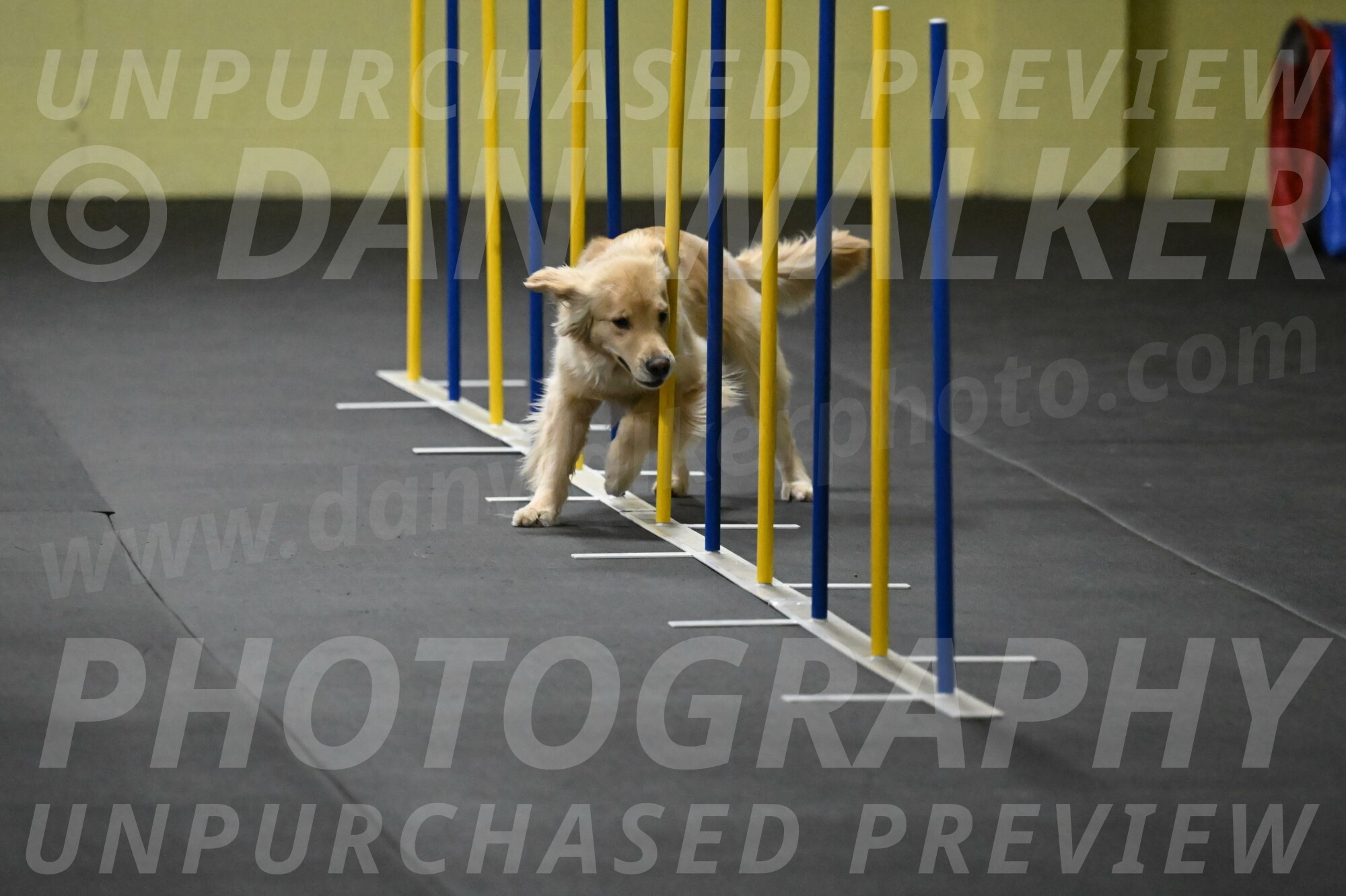 Perry-Likevich-04865