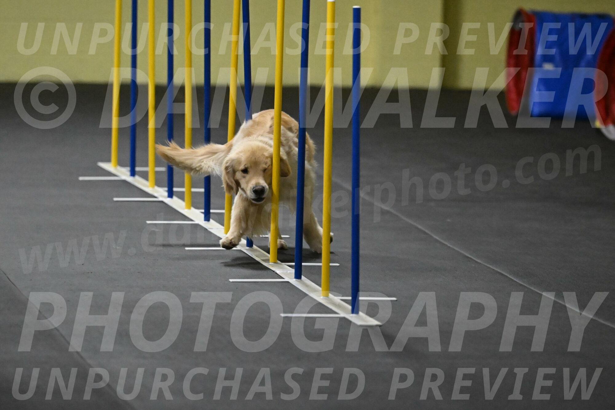 Perry-Likevich-04871