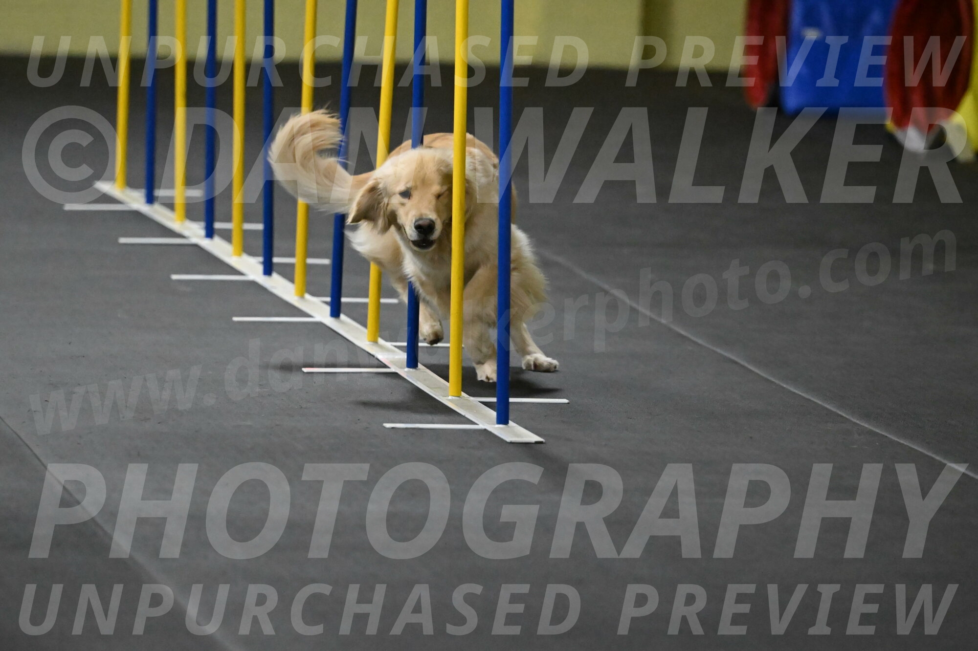 Perry-Likevich-04877