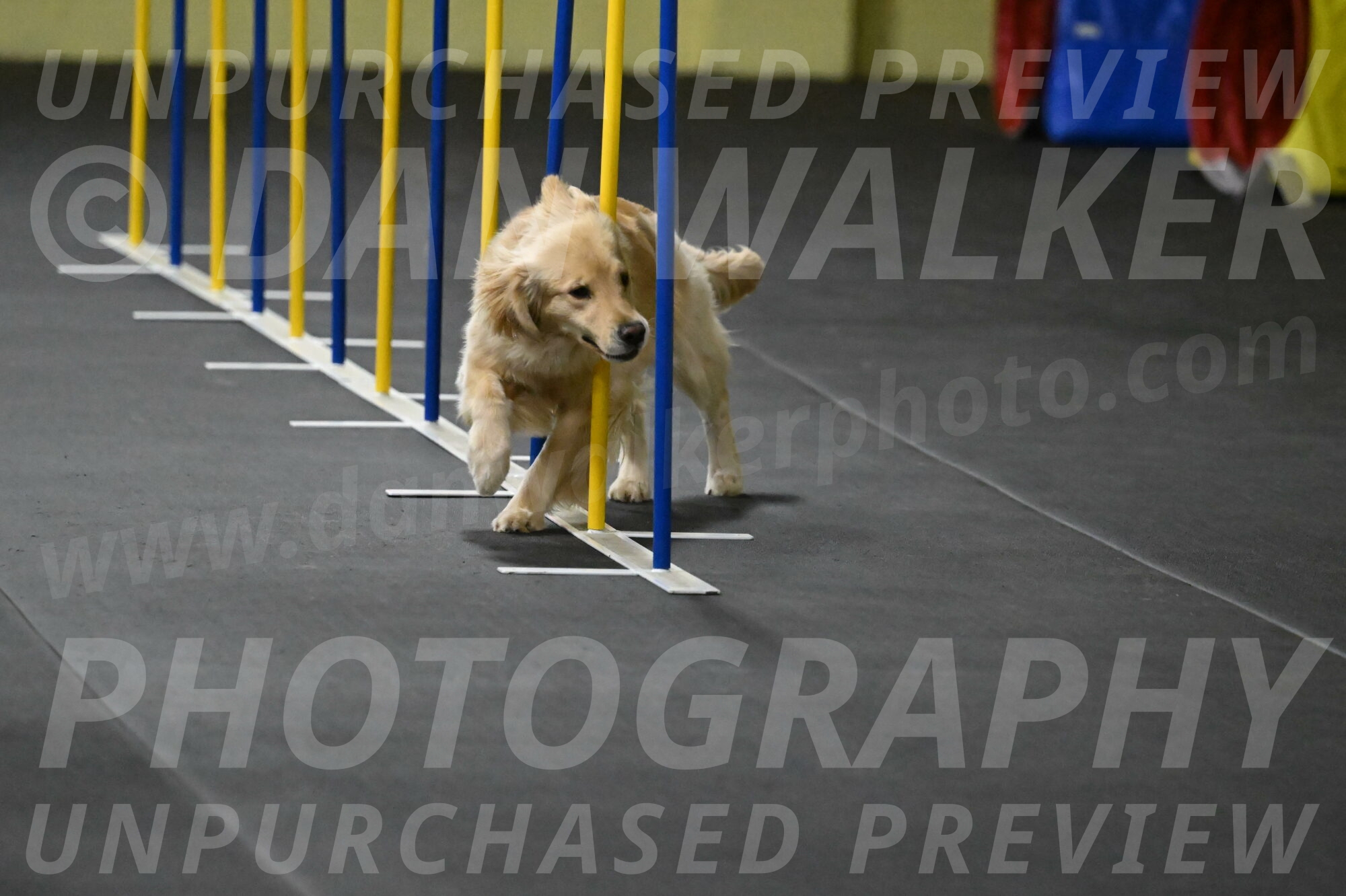 Perry-Likevich-04878