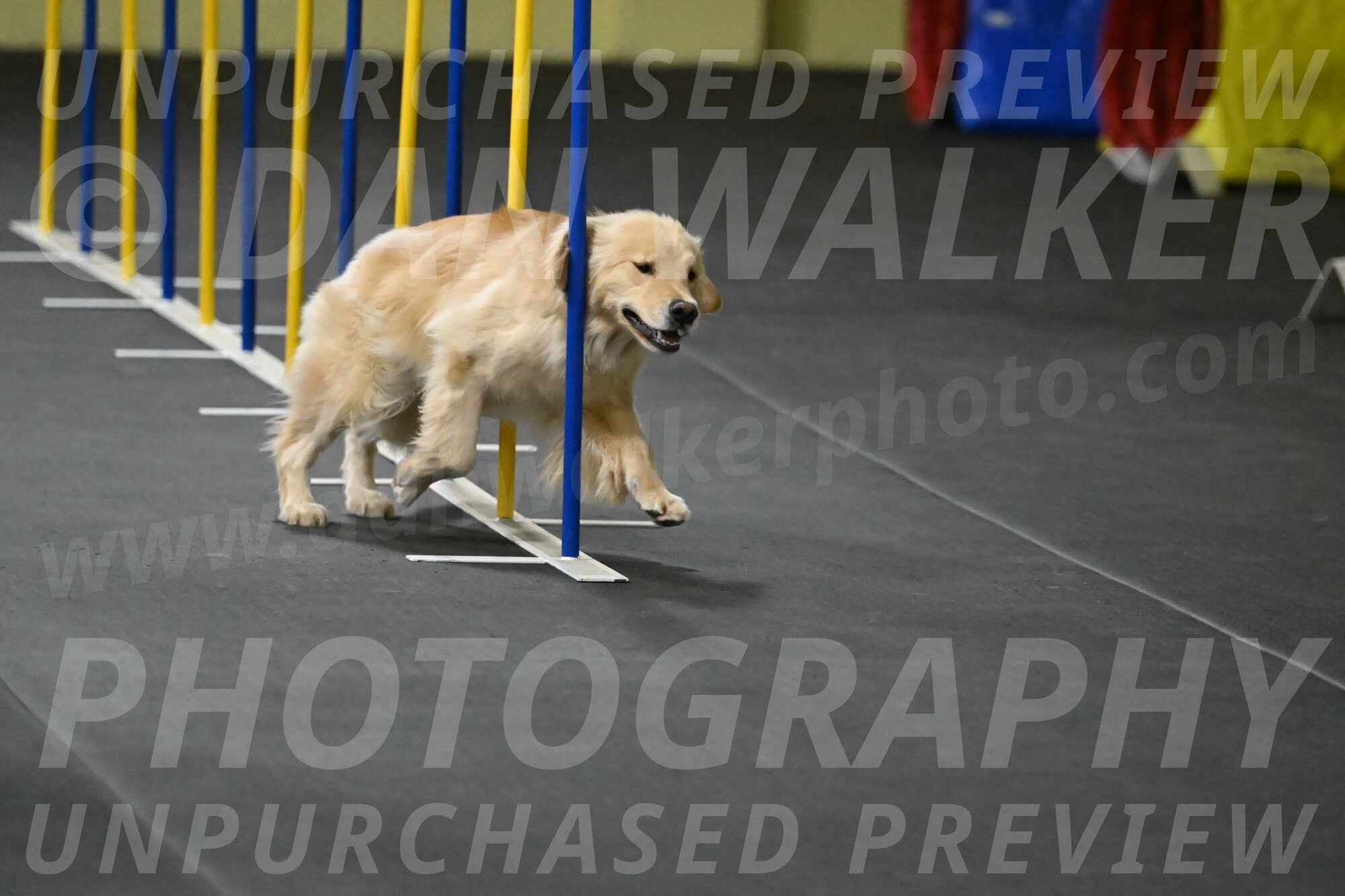 Perry-Likevich-04881