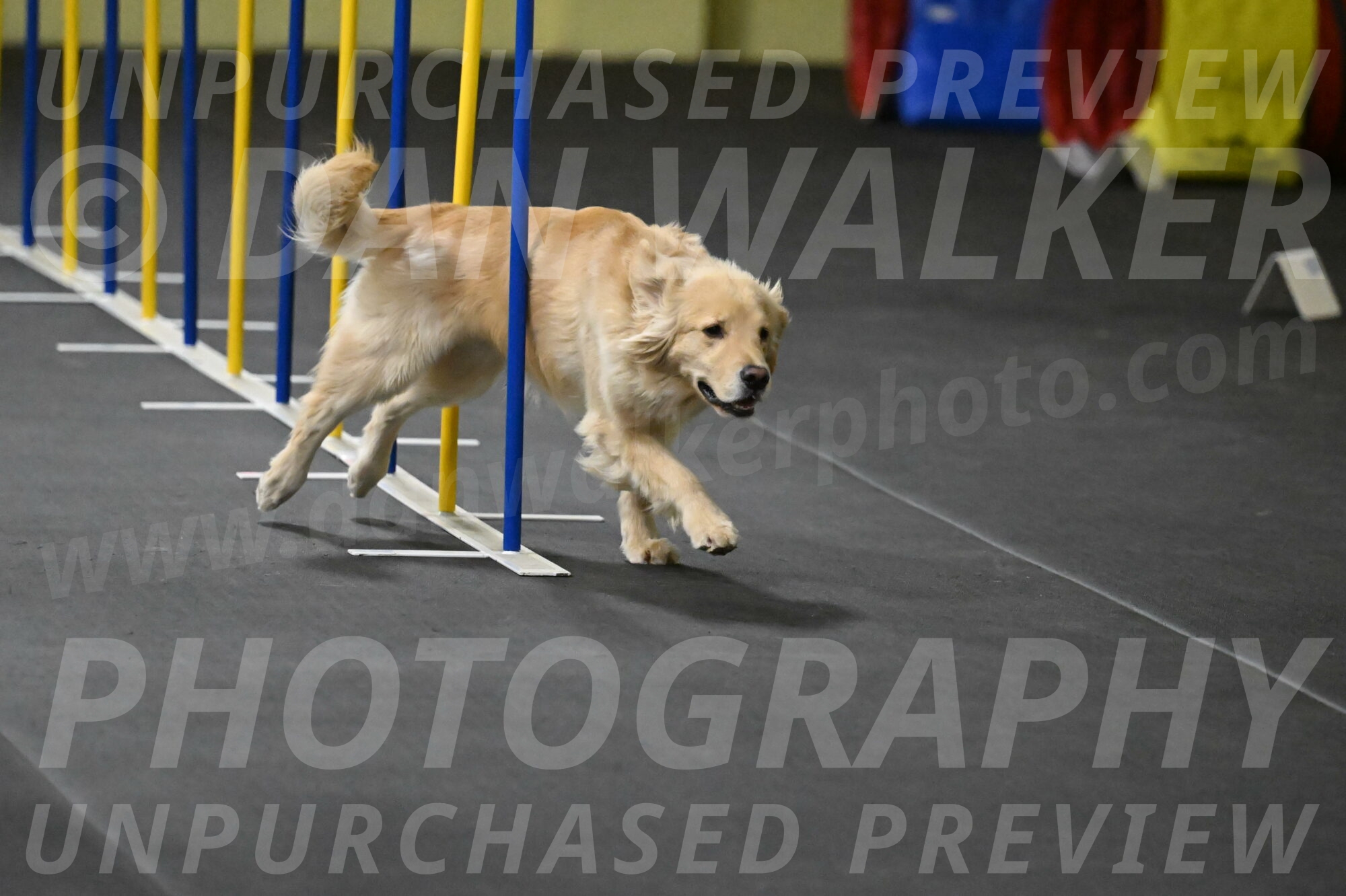 Perry-Likevich-04882