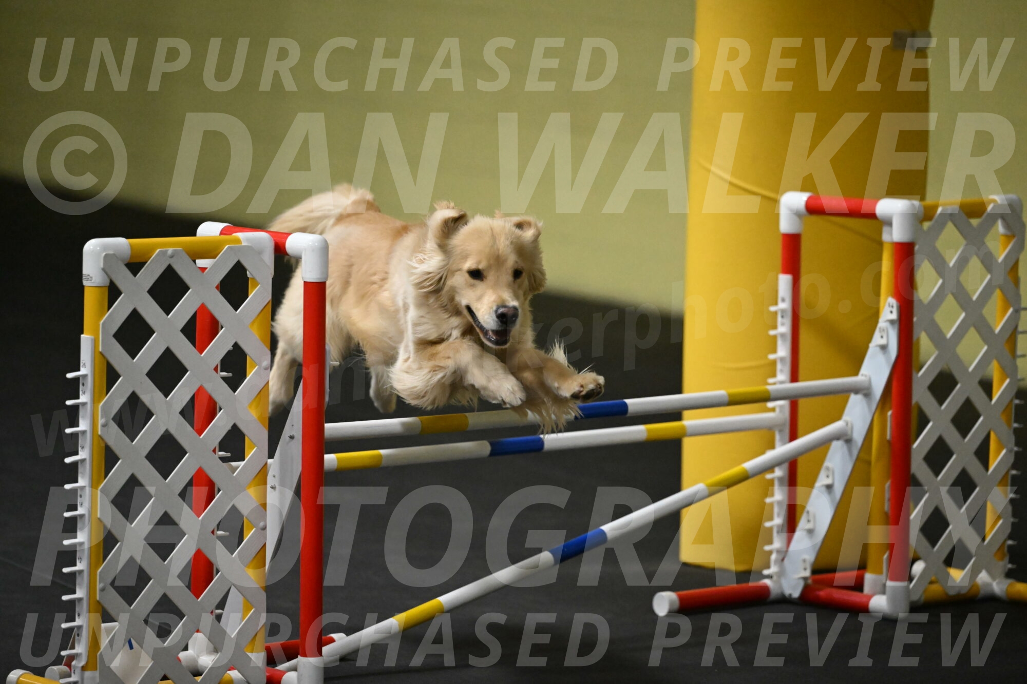 Perry-Likevich-04889