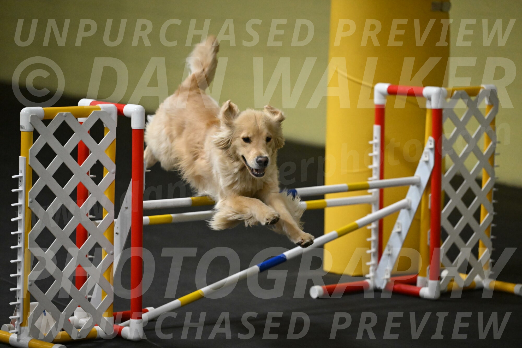 Perry-Likevich-04890