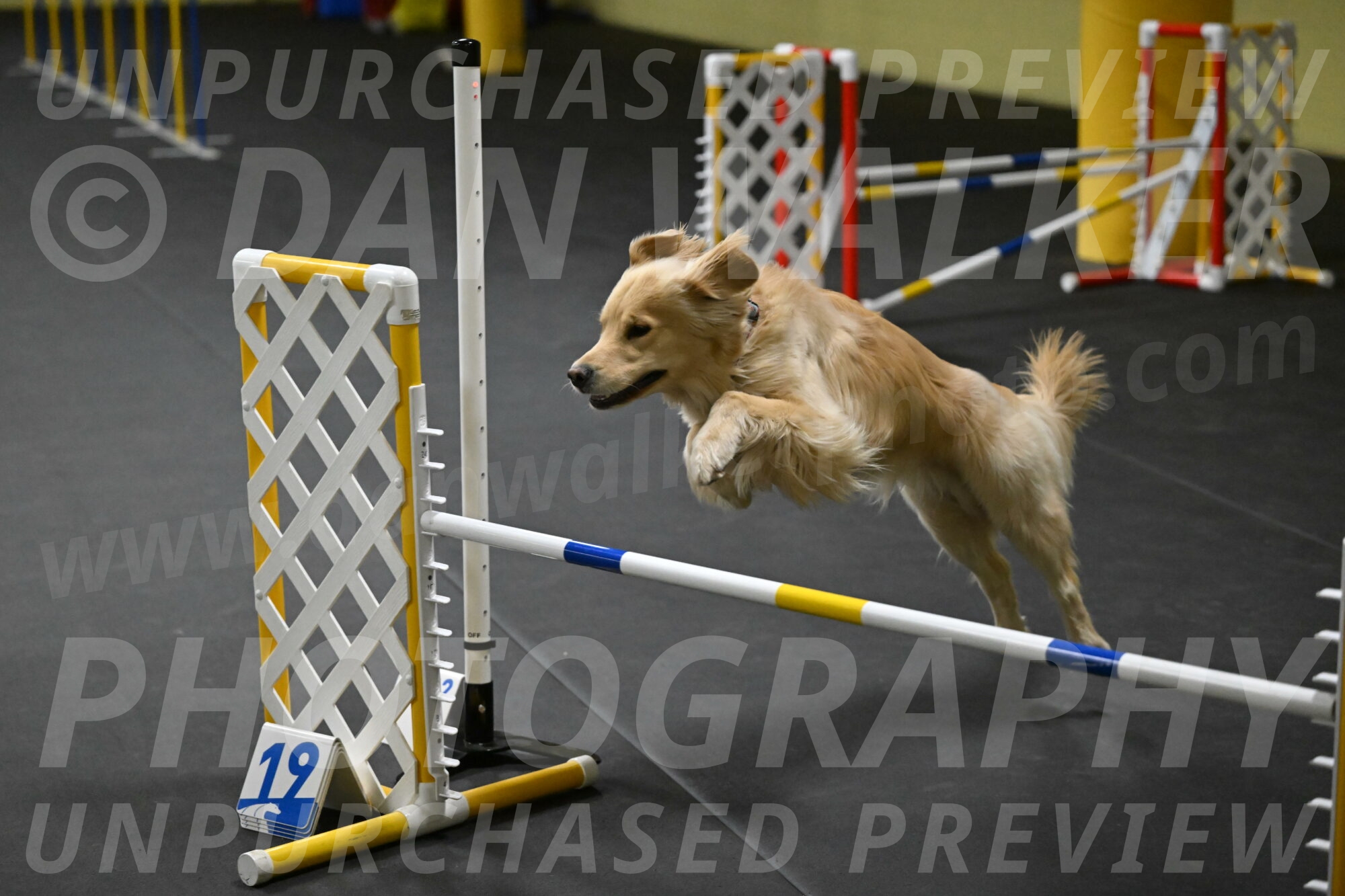 Perry-Likevich-04899