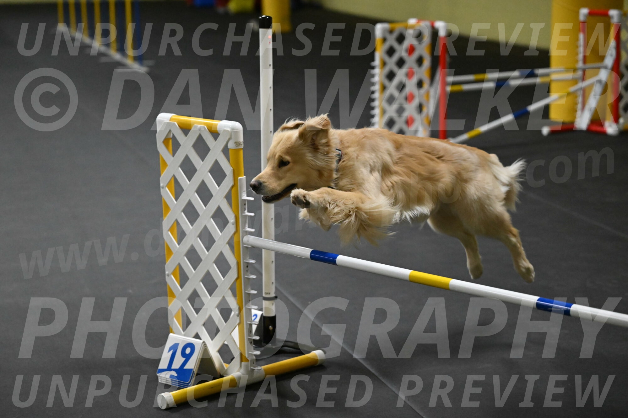 Perry-Likevich-04900