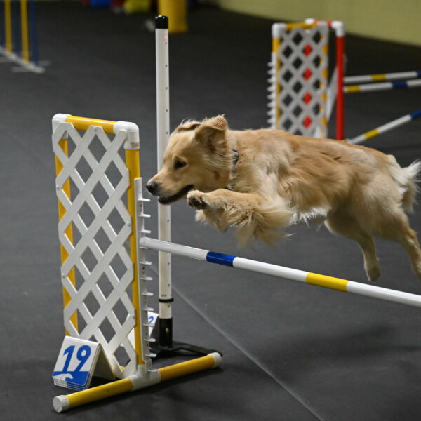 Perry-Likevich-04900