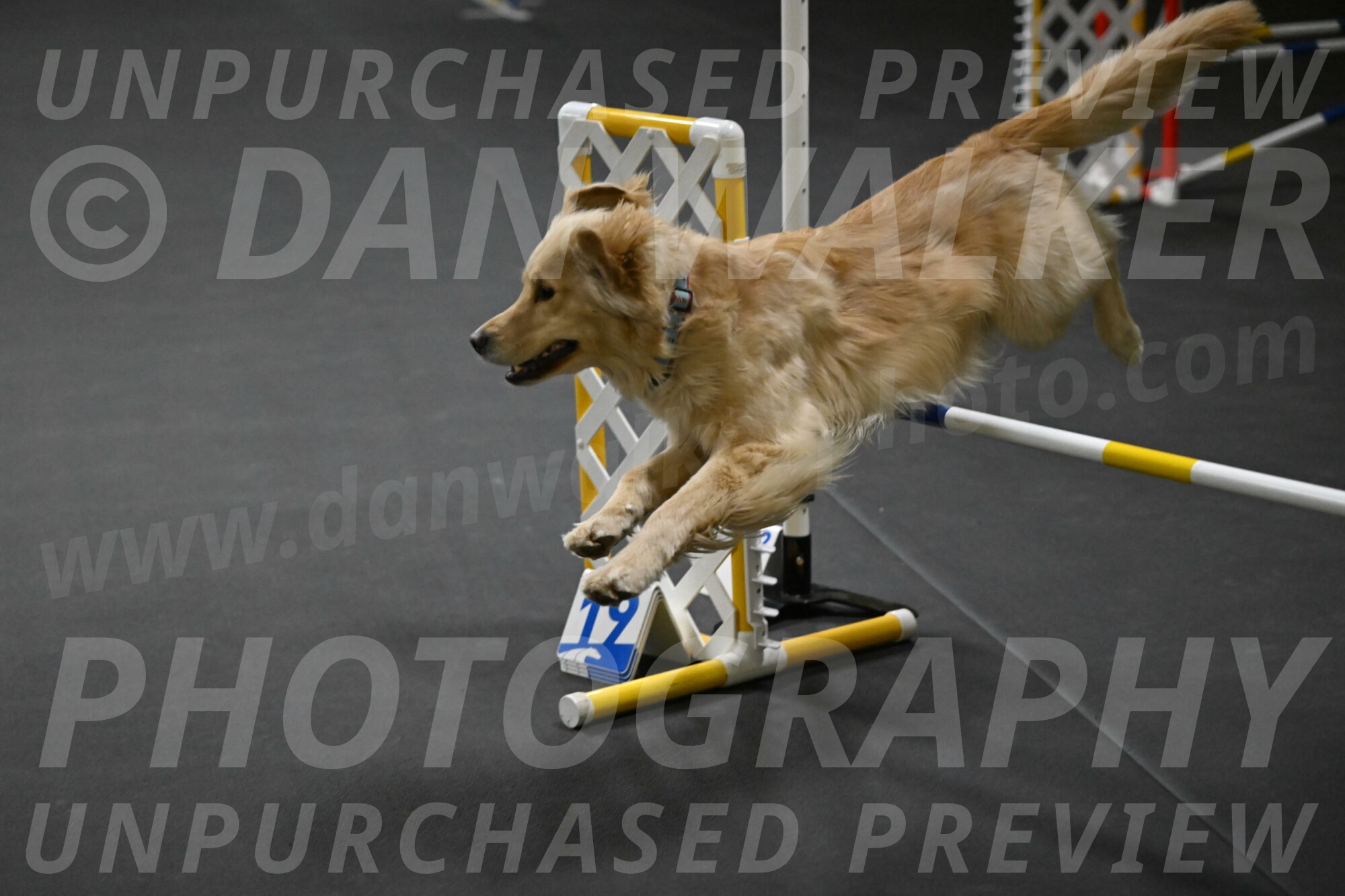 Perry-Likevich-04902